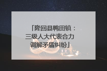 隆回县鸭田镇：三级人大代表合力调解矛盾纠纷