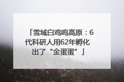 雪域白鸡鸣高原：6代科研人用62年孵化出了“金蛋蛋”