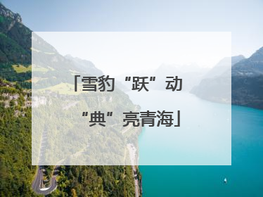 雪豹“跃”动 “典”亮青海