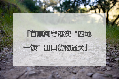 首票闽粤港澳“四地一锁”出口货物通关