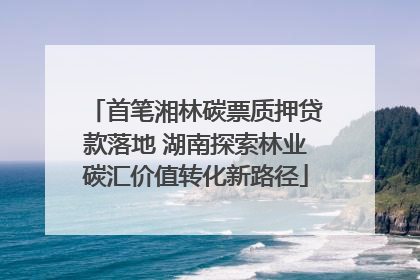 首笔湘林碳票质押贷款落地 湖南探索林业碳汇价值转化新路径