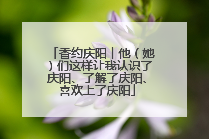 香约庆阳丨他（她）们这样让我认识了庆阳、了解了庆阳、喜欢上了庆阳