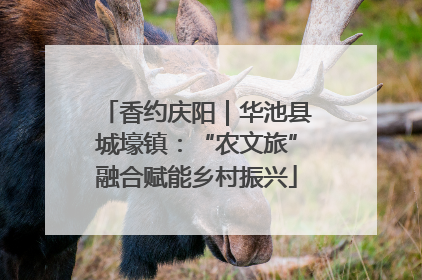 香约庆阳｜华池县城壕镇：“农文旅”融合赋能乡村振兴