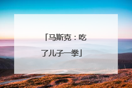 马斯克：吃了儿子一拳