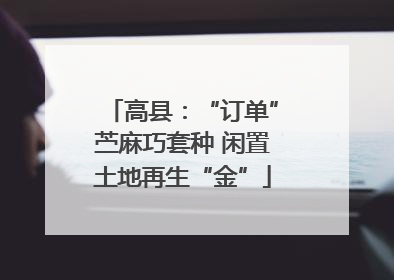 高县：“订单”苎麻巧套种 闲置土地再生“金”