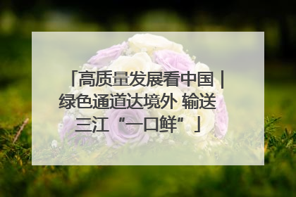 高质量发展看中国｜绿色通道达境外 输送三江“一口鲜”