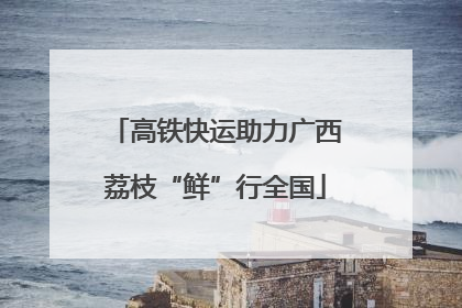 高铁快运助力广西荔枝“鲜”行全国
