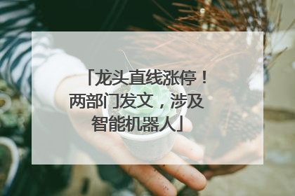 龙头直线涨停！两部门发文，涉及智能机器人