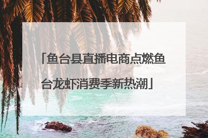 鱼台县直播电商点燃鱼台龙虾消费季新热潮