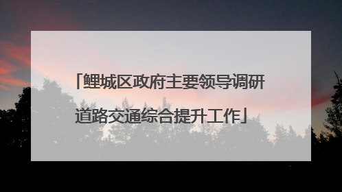 鲤城区政府主要领导调研道路交通综合提升工作