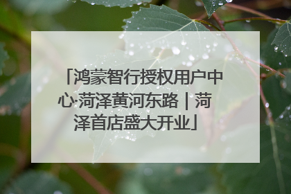 鸿蒙智行授权用户中心·菏泽黄河东路｜菏泽首店盛大开业