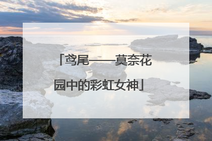 鸢尾——莫奈花园中的彩虹女神
