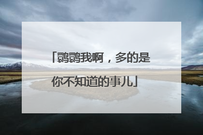 鹮鹮我啊，多的是你不知道的事儿