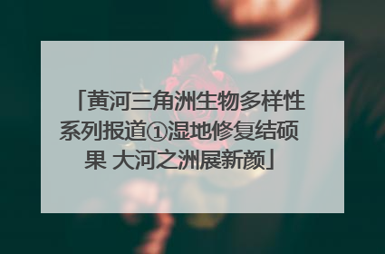 黄河三角洲生物多样性系列报道①湿地修复结硕果 大河之洲展新颜