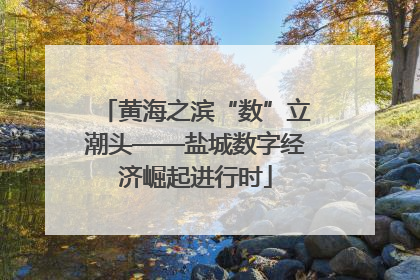 黄海之滨“数”立潮头——盐城数字经济崛起进行时