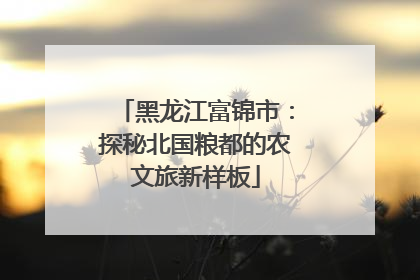 黑龙江富锦市：探秘北国粮都的农文旅新样板