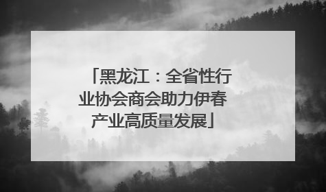 黑龙江：全省性行业协会商会助力伊春产业高质量发展