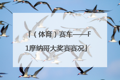 （体育）赛车——F1摩纳哥大奖赛赛况