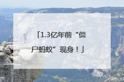 1.3亿年前“僵尸蚂蚁”现身！
