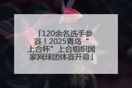 120余名选手参赛！2025青岛“上合杯”上合组织国家网球团体赛开幕