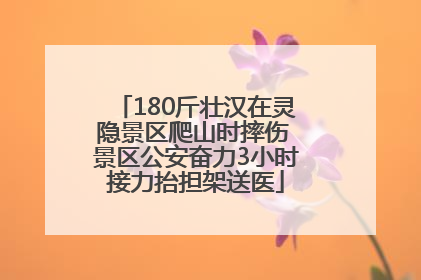 180斤壮汉在灵隐景区爬山时摔伤 景区公安奋力3小时接力抬担架送医