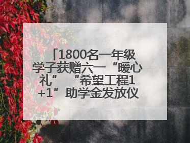 1800名一年级学子获赠六一“暖心礼” “希望工程1+1”助学金发放仪式在川举行