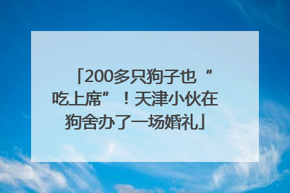 200多只狗子也“吃上席”！天津小伙在狗舍办了一场婚礼