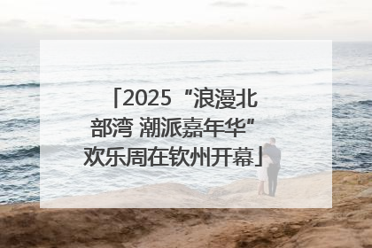 2025“浪漫北部湾 潮派嘉年华”欢乐周在钦州开幕