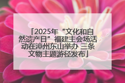 2025年“文化和自然遗产日”福建主会场活动在漳州东山举办 三条文物主题游径发布
