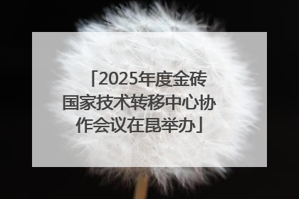 2025年度金砖国家技术转移中心协作会议在昆举办