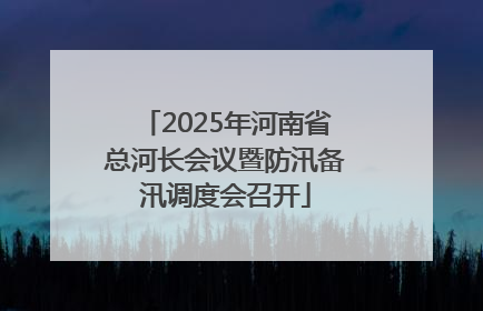 2025年河南省总河长会议暨防汛备汛调度会召开