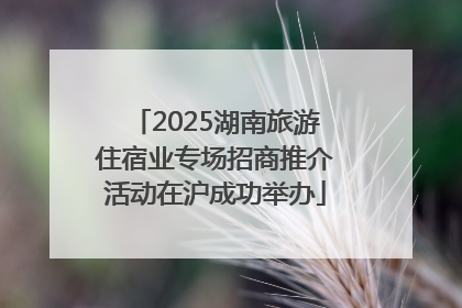 2025湖南旅游住宿业专场招商推介活动在沪成功举办