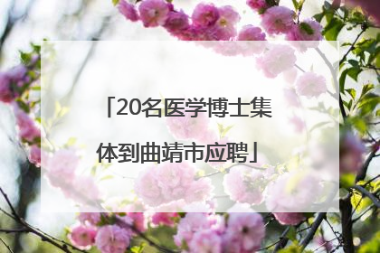 20名医学博士集体到曲靖市应聘