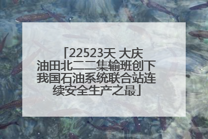22523天 大庆油田北二二集输班创下我国石油系统联合站连续安全生产之最