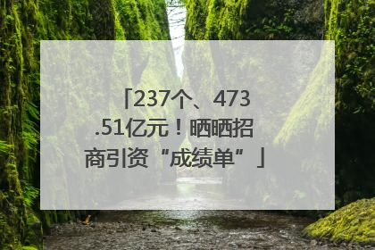 237个、473.51亿元！晒晒招商引资“成绩单”