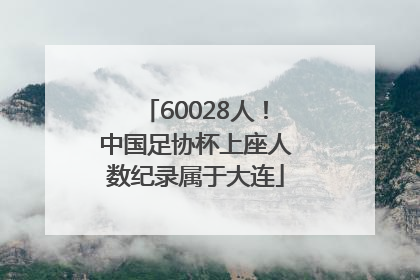 60028人！中国足协杯上座人数纪录属于大连
