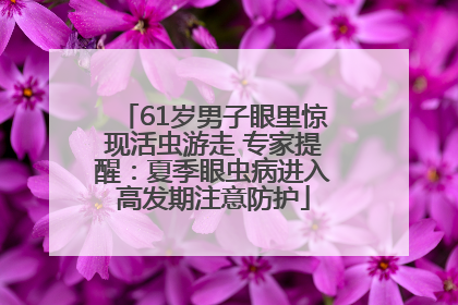 61岁男子眼里惊现活虫游走 专家提醒：夏季眼虫病进入高发期注意防护
