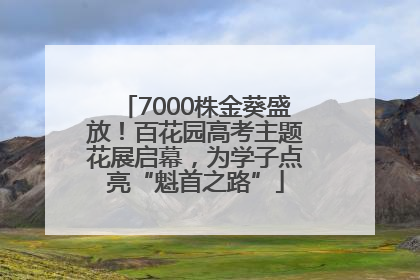 7000株金葵盛放！百花园高考主题花展启幕，为学子点亮“魁首之路”
