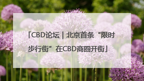 CBD论坛｜北京首条“限时步行街”在CBD商圈开街