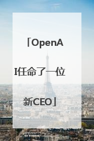 OpenAI任命了一位新CEO